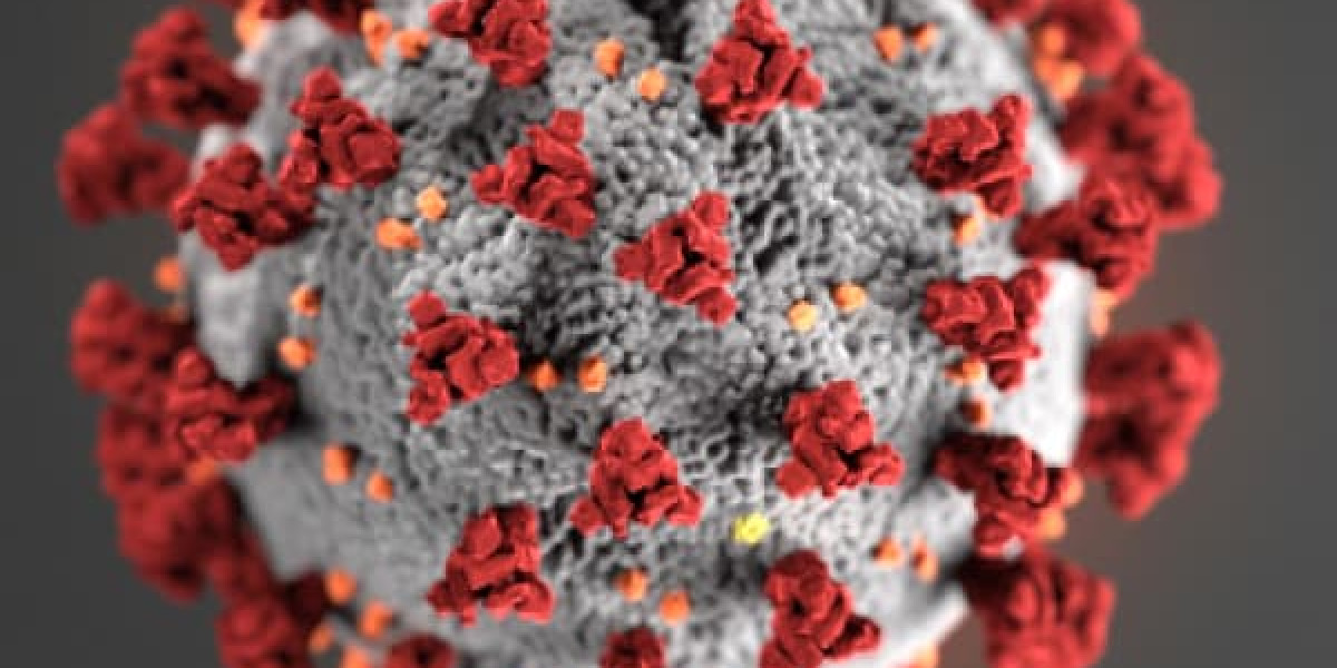 Illustration of a coronavirus particle, showing a spherical shape with a gray surface covered in red spike proteins and smaller orange elements. This image, unlike the lively vibes you'd find at Spare Time Texas, represents the virus responsible for causing COVID-19.